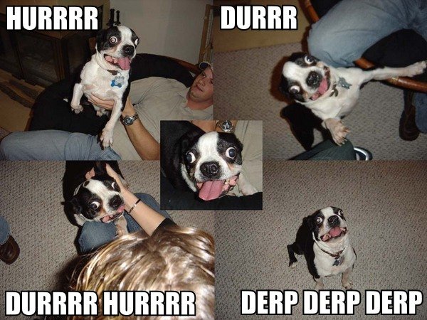 hurr_durr.jpg