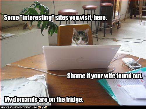 funny-pictures-cat-blackmails-you.jpg