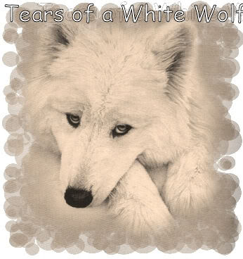 white_wolf2.jpg