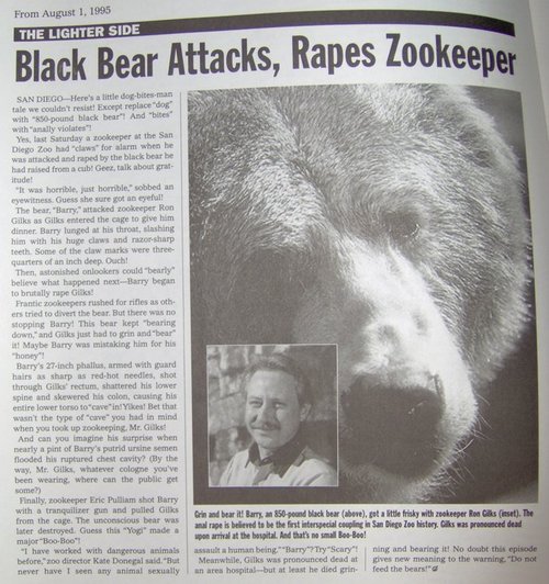 bearattackbearrape.jpg