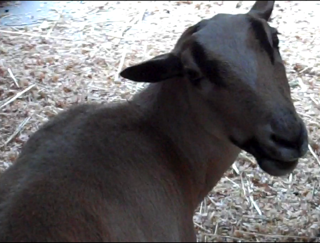 Alex, the one who's terrified of people