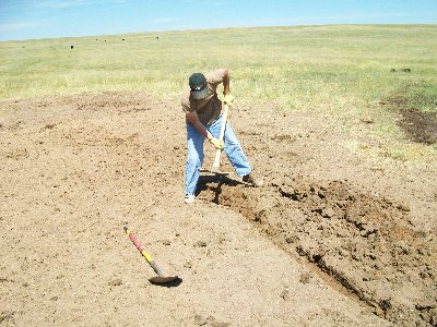 trench dug to space out water  so it will dry faster